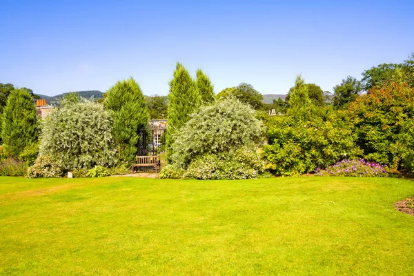 Vackra anlagda sommarträdgård — Stockfoto