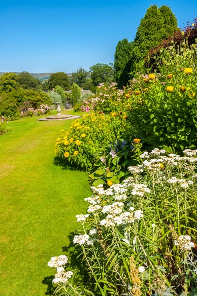 Hermoso jardín de verano ajardinado — Foto de Stock