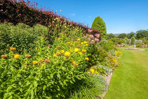 Bellissimo giardino estivo paesaggistico — Foto Stock