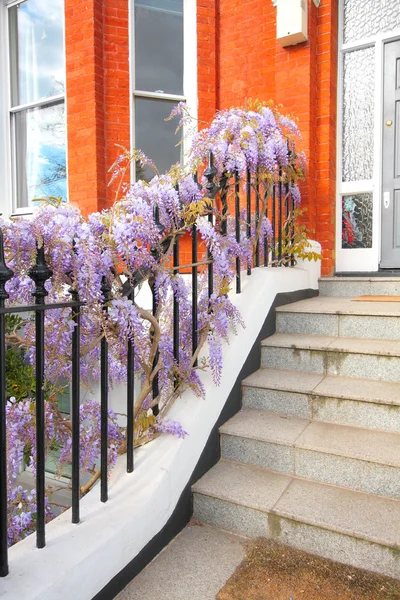 Beautiful wisteria flowers outside the house — Stock Photo, Image