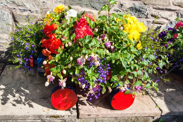 Cama de flores colorida fora de uma casa — Fotografia de Stock