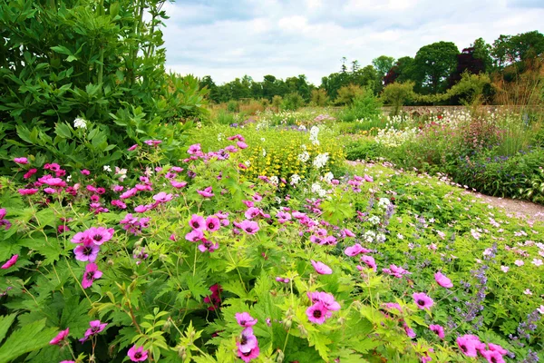 Bellissimo giardino pieno di fiori — Foto Stock