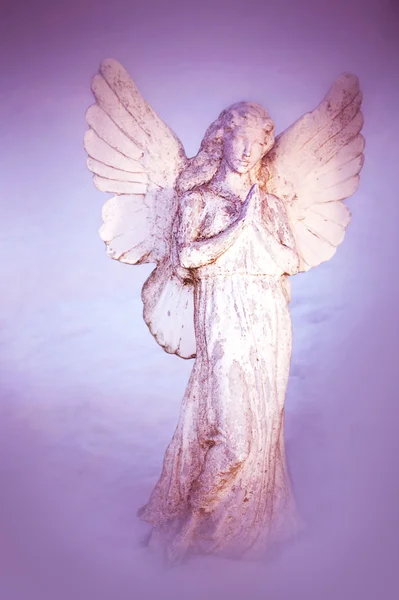 A white angel praying — Stock Photo, Image