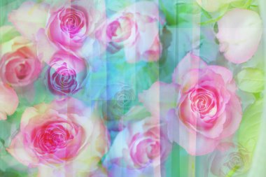 Güzel çiçek arka plan 