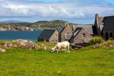 Iona abbey, İskoçya