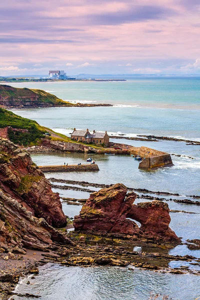 Berwickshire Coastal Path, vista sobre a Cove Bay, Escócia, Reino Unido — Fotografia de Stock