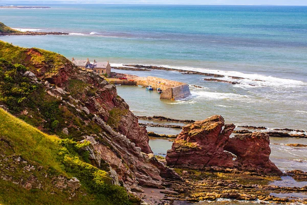 Berwickshire Coastal Path, vista de Cove Bay, Escocia, Reino Unido — Foto de Stock