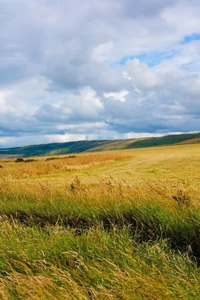 Zonnige landschap met velden en blauwe hemel in Schotland — Stockfoto