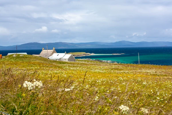 Moutons dans le champ d'Iona dans les Hébrides Intérieures, Écosse Moutons dans les champs d'Iona dans les Hébrides Intérieures, Écosse — Photo