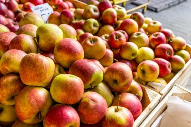 Taze elma stand city Market, Krakow, Polonya