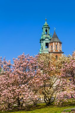 Kraliyet Wawel Kalesi, Krakow, Polonya