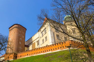 Wawel Kalesi Wawel Hill Avrupa, Krakow, Polonya