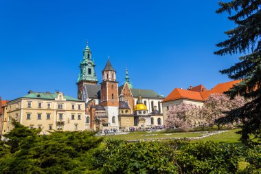 Kraliyet Wawel Kalesi, Krakow, Polonya