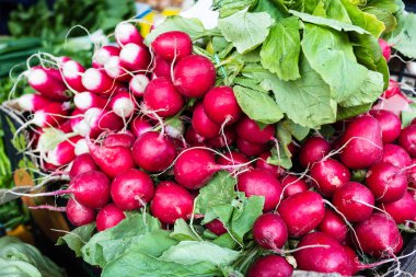 Turp şehir Pazar Meydanı, demet