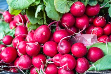 Turp şehir Pazar Meydanı, demet