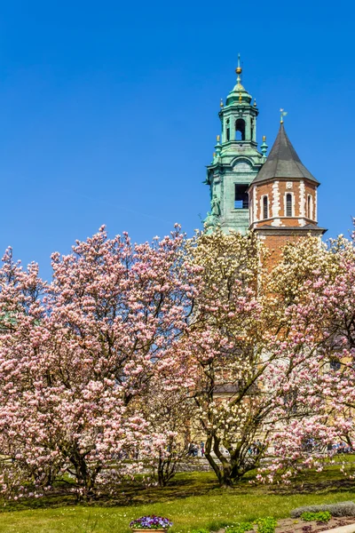 Royal Wawel Castle, Krakow, Poland — Stock Photo, Image