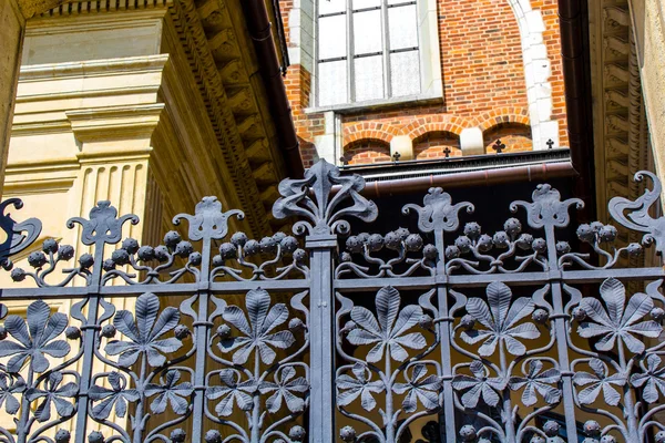 Old, beautiful wrought Iron Gate — Stock Photo, Image