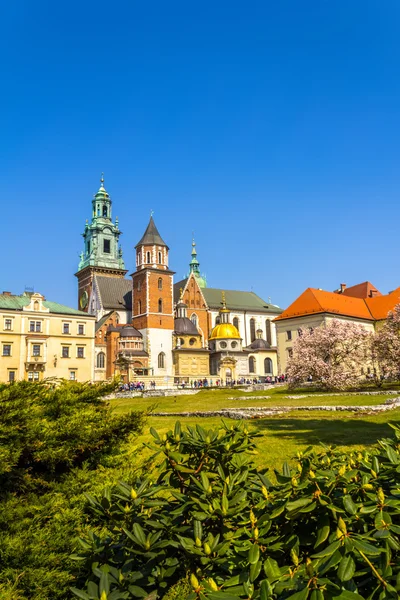 Królewski zamek na Wawelu, Kraków, Polska — Zdjęcie stockowe