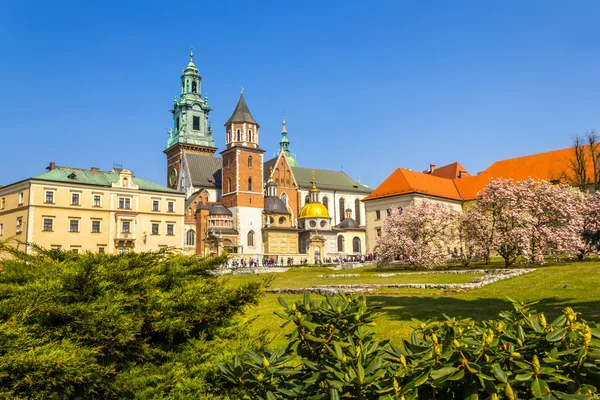 Koninklijk Paleis Wawel, Krakow, Polen — Stockfoto