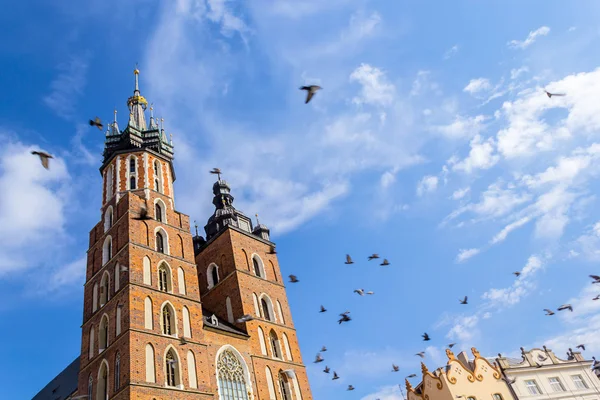 Mariacki-Kirche, Krakau, Polen, Europa — Stockfoto