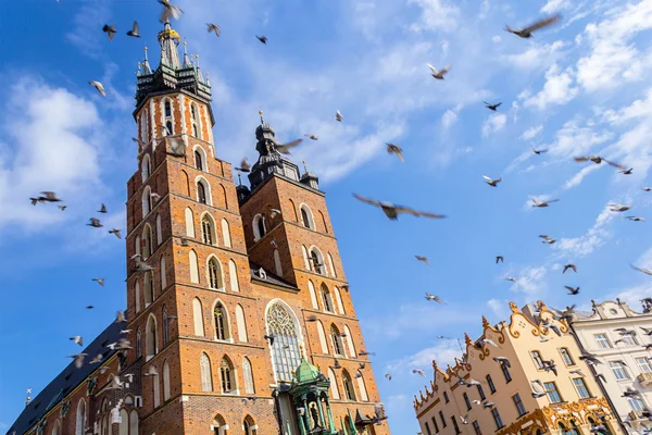 Mariacki-kyrkan, Krakow, Polen, Europa — Stockfoto