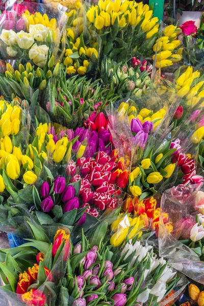 Tulipani mazzi di fiori freschi in vendita a Cracovia, Polonia — Foto Stock