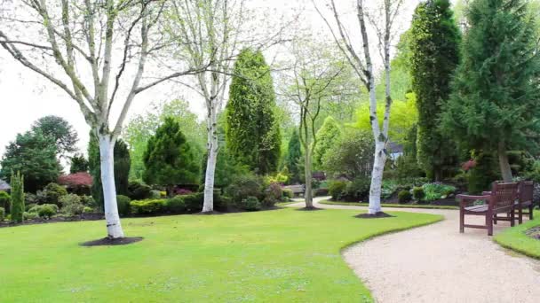 Beau jardin de conifères, séquences — Video