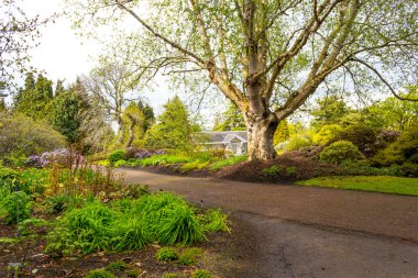 Güzel, Botanik Bahçesi bahar.