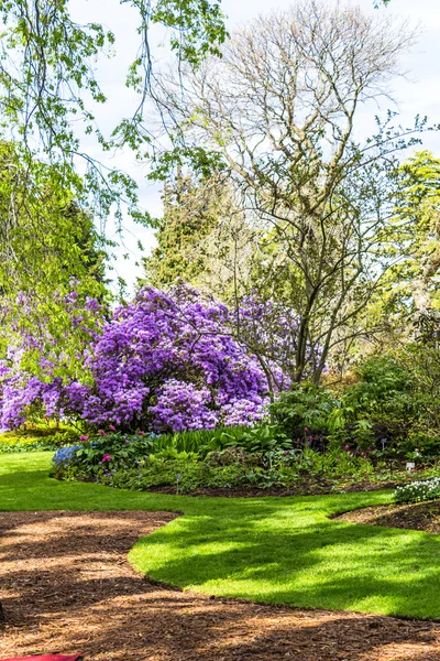 Prachtige, botanische tuin in het voorjaar van. — Stockfoto