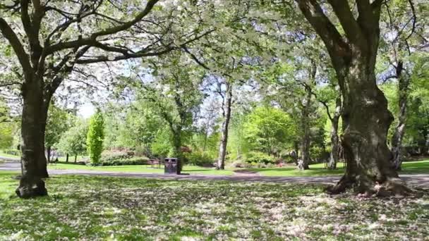 Hermoso Jardín Botánico en Glasgow, Reino Unido, material de archivo — Vídeo de stock