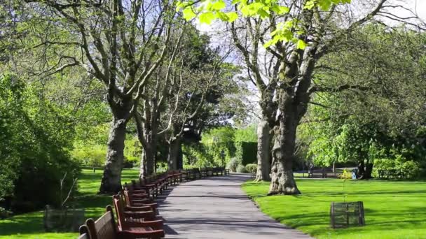 Hermoso Jardín Botánico en Glasgow, Reino Unido, material de archivo — Vídeo de stock