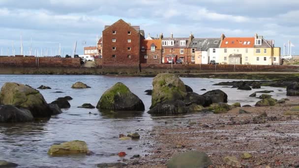 Słoneczny Brzeg w North Berwick, Scotland, Wielka Brytania. HD — Wideo stockowe