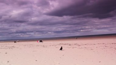 St Andrews, Scotland, Hd ayak, deniz kıyısı