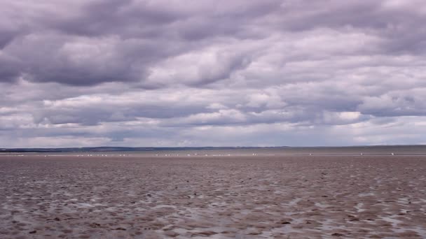 在苏格兰圣安德鲁斯的高清画面海滨 — 图库视频影像