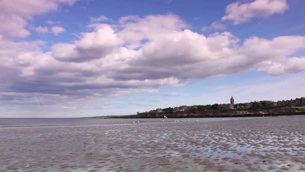 A praia em St Andrews, Escócia, imagens HD — Vídeo de Stock