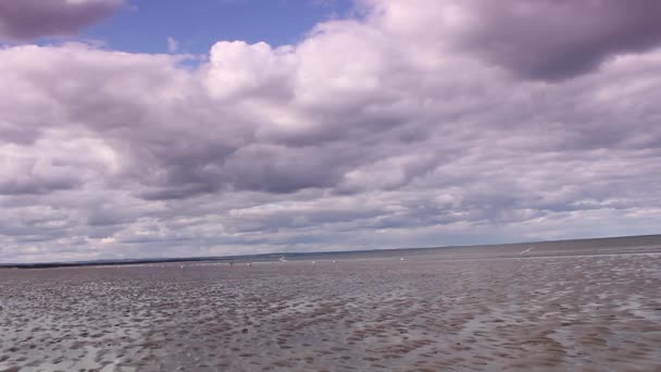 A praia em St Andrews, Escócia, imagens HD — Vídeo de Stock