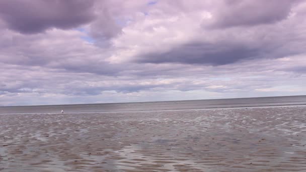 La orilla del mar en St Andrews, Escocia, imágenes de alta definición — Vídeos de Stock