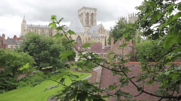 York Minster seen from the city wall, Yorkshire, England, UK, footage — Stockvideo