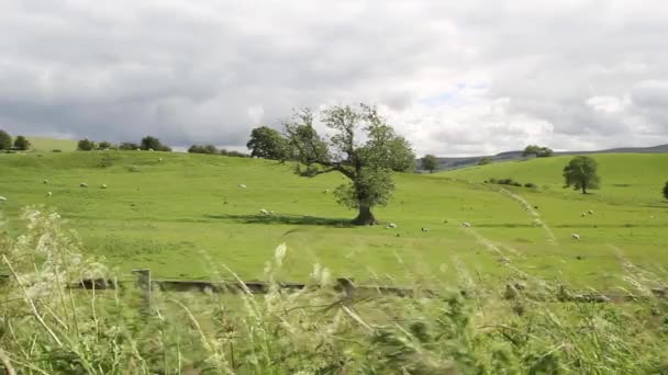 Hermoso paisaje inglés, Yorkshire, Inglaterra, Gran Bretaña, imágenes de alta definición — Vídeos de Stock