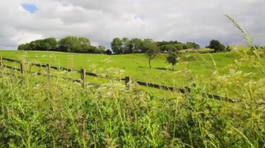 Güzel İngiliz manzara, Yorkshire, İngiltere, İngiltere, Hd görüntüleri