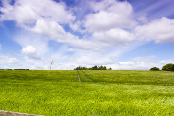 Hermoso paisaje de tarde con rayos en crecimiento en primavera, Escocia —  Fotos de Stock