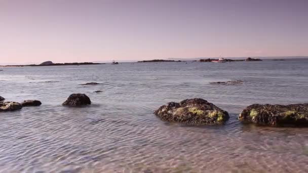 Playa en North Berwick en Escocia — Vídeo de stock