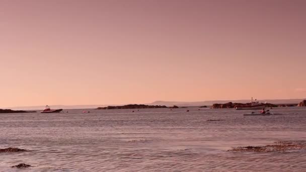 Plage de North Berwick en Écosse — Video