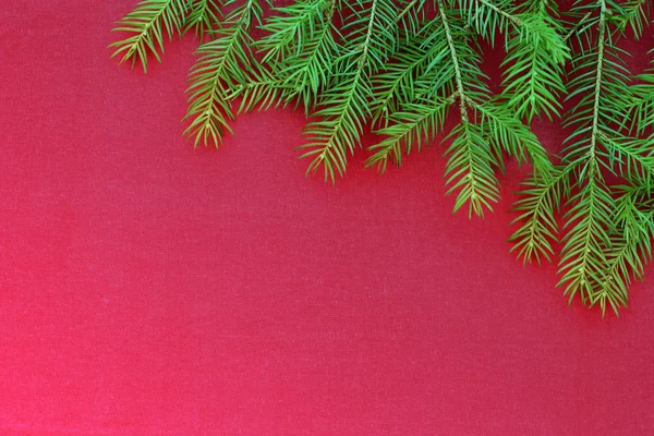 Nya jul bakgrund med verkliga pine trädgrenar — Stockfoto