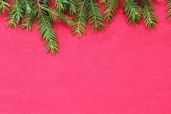 Νέα Χριστούγεννα φόντο με τους κλάδους δέντρων πεύκων πραγματική — Φωτογραφία Αρχείου