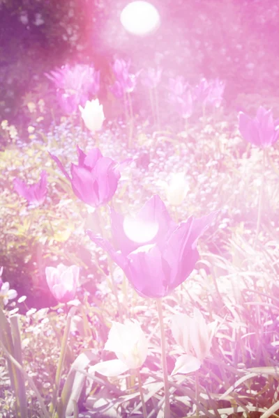 Abstrakte künstlerische floralen Hintergrund — Stockfoto