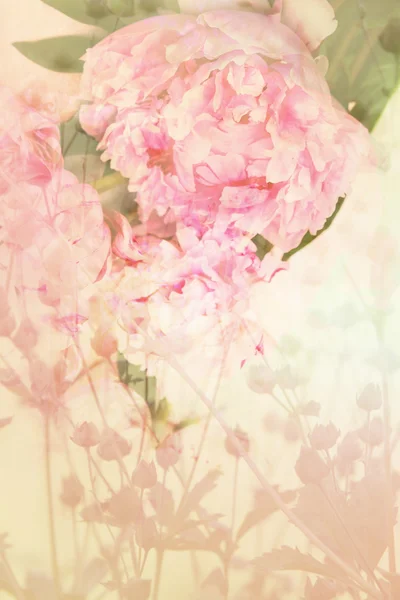 Fundo artístico floral rosa — Fotografia de Stock