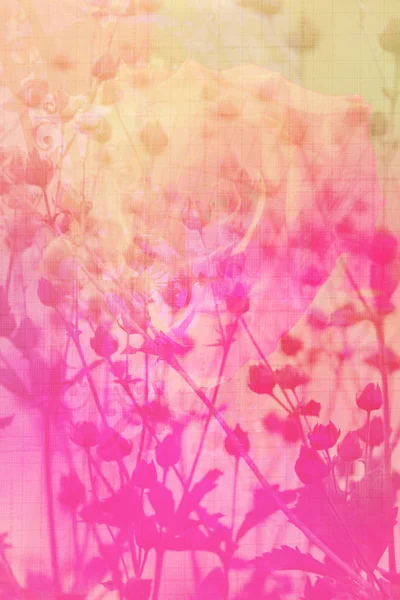 Pink floral artistic background — Stock Photo, Image