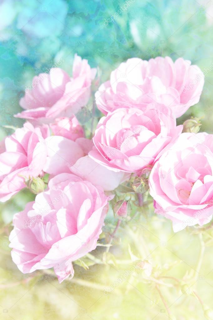 Beautiful floral background with pink roses