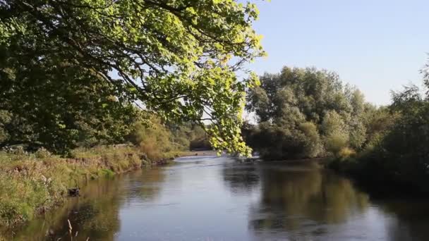 Schöner Park und Fluss in der Herbstzeit, Großbritannien, Filmmaterial — Stockvideo